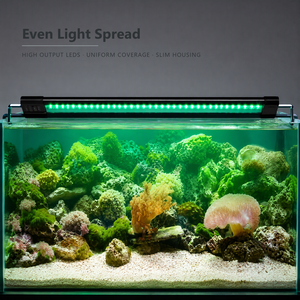 Barre lumineuse LED pour aquarium, en aluminium fin, résistante à l'eau, avec minuterie, pour plantes aquatiques - Product Image 5