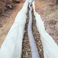 Tissu géotextile en plastique PP non tissé pour l'agriculture industrielle, le drainage, le contrôle des adventices et la séparation des sols