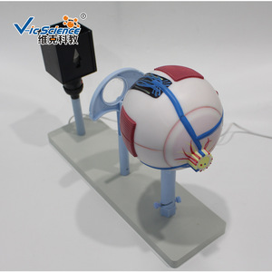 Projecteur oculaire, modèle de démonstration d'imagerie oculaire, équipement d'expérimentation biologique pour collèges, matériel de démonstration - Product Image 1