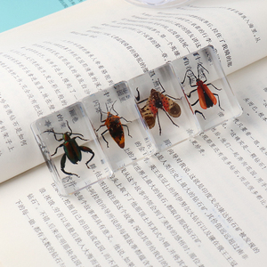 Côn trùng trong nhựa <span class=keywords><strong>Bug</strong></span> bảo quản mẫu bộ sưu tập paperweights nhựa côn trùng khác nhau côn trùng mẫu cho văn phòng người đàn ông Phụ nữ - Product Image 3