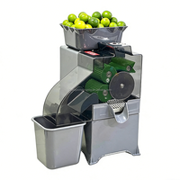 Presse-agrumes automatique commerciale pour citron, petit agrumes, kumquat, 60-80 kg/h, acier inoxydable robuste, usage domestique, hôtels