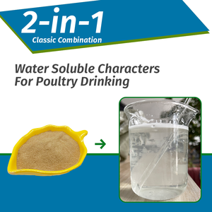 New Type Probiotic For Chicken Broiler Layer <strong>Poultry</strong> Gut Health Flora Regulation Feed Grade