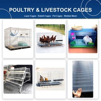 Machine à souder automatique pour cages à poulets, maille de cage avicole 2-4mm 25x50mm PLC CE STARF