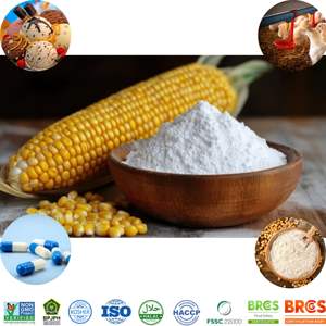 Premier exportateur d'amidon de maïs blanc sans OGM pour la friture et la panure croustillantes - Product Image 2