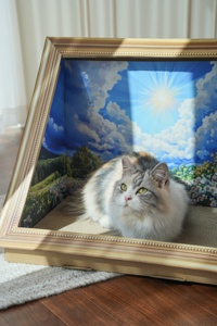 Rascador para Mascotas de Cartón Corrugado con Diseño de Fondo de Pintura al Óleo, Marco de Lienzo Reemplazable - Product Image 4