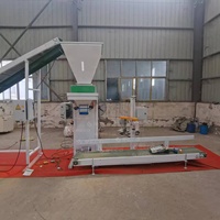 Machine de remplissage convoyeur d'alimentation machine d'emballage d'aliments pour poissons automatiquement