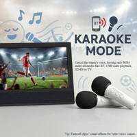 Mesin Karaoke 14" 2 Mikrofon Nirkabel Layar 1366x768 HD Suara Pro untuk Berkemah Piknik Menonton TV