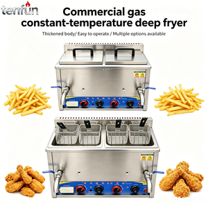 Friteuse à gaz commerciale TenFun en acier inoxydable avec panier et contrôle thermostatique pour poulet frit, frites et snack-bars - Product Image 1