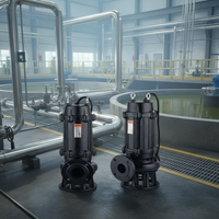 Pompe submersible électrique en fonte robuste sur mesure 220V 380V 440V pour l'aspiration de boue et l'évacuation des eaux usées