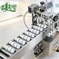 Machine de marquage entièrement automatique avec fonction de détection laser pour le traitement précis de la gravure laser sur bouteilles en verre