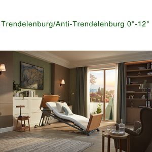 Cama Médica de Madera Tecforcare OEM y ODM, Cama de Hospital Eléctrica para Cuidado en el Hogar, Ancianos y Residencias - Product Image 4