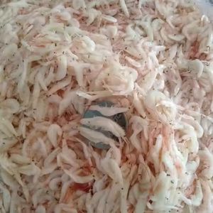 Camarones crudos y salados congelados Venta a granel Ingredientes de mariscos Camarones bebés congelados IQF Sal cruda Suministro de camarones sin cocer conservados - Product Image 2