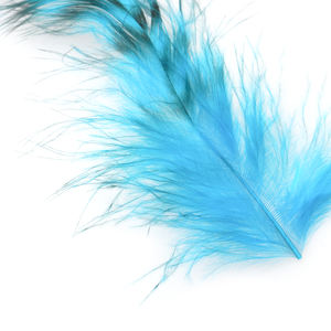 Plumes <span class=keywords><strong>de</strong></span> selle <span class=keywords><strong>de</strong></span> coq grizzly, 14-16 cm, pour streamers d'eau salée et matériaux <span class=keywords><strong>de</strong></span> montage <span class=keywords><strong>de</strong></span> mouches - Product Image 6