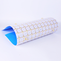 Panneaux de plafond d'éclairage intérieur Feuille de Led flexible Panneau électroluminescent transparent Grand panneau flexible pour rétro-éclairage