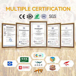 Biji wijen mentah alami 100% biji wijen putih murni untuk dijual dengan harga terbaik - Product Image 5