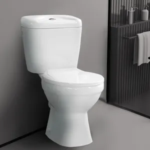 Hot Koop Frans Toilet Wc Plomberie Dual Flush Water Closet Sanitair Wc Tweedelige Toilette Wc Complet