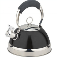Bouilloire en acier inoxydable pour la maison, capacité 2,5 L, écologique, compatible lave-vaisselle, pour gaz et induction, options de camping, usage domestique