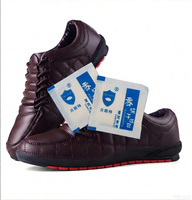 Sachets désodorisants absorbants pour chaussures, désodorisant longue durée, pochette rafraîchissante pour chaussures et cuir