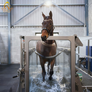 Cinta de Correr de Hidroterapia Reutilizable y Duradera <span class=keywords><strong>EUE</strong></span> PET para Rehabilitación de Caballos, Equipo de Clínica Veterinaria, Precio de Fábrica - Product Image 2