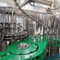 Machine automatique de rinçage, de remplissage et de bouchage 3 en 1 pour ligne de production d'eau potable en bouteille