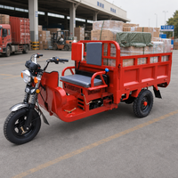 Tricycle utilitaire à essence avec caisse en acier, véhicule de livraison à 3 roues pour marché et entrepôt
