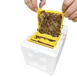 Nuevo Equipo de Apicultura, Caja de Espuma Blanca Inteligente para la Reproducción de <span class=keywords><strong>Abejas</strong></span> Reinas, Caja de Cría de Reinas de Poliestireno con 3 Marcos, 24x15x16.5cm - Product Image 1