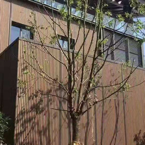 Revêtement extérieur <span class=keywords><strong>en</strong></span> <span class=keywords><strong>vinyle</strong></span> WPC pour murs <span class=keywords><strong>de</strong></span> <span class=keywords><strong>maison</strong></span>, décoration <span class=keywords><strong>de</strong></span> grille <span class=keywords><strong>en</strong></span> co-extrusion, effet 3D, bois-plastique pour chambres à coucher - Product Image 3