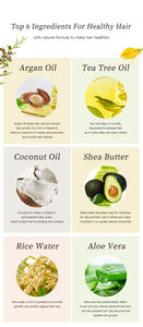 100% huile d'arbre à thé naturelle bio personnalisée huile d'argan beurre de karité shampooing de marque privée ensemble de soins capillaires <span class=keywords><strong>afro</strong></span> anti-chute bouclés - Product Image 5