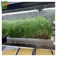 Smart Farm Grow Système agricole vertical hydroponique 40ft Conteneur d'expédition Serre agricole