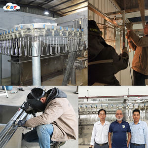 Équipement d'abattoir pour la transformation de la volaille <span class=keywords><strong>halal</strong></span>, équipement d'abattage de poulets, équipement d'abattoir, machines de <span class=keywords><strong>boucherie</strong></span> - Product Image 6