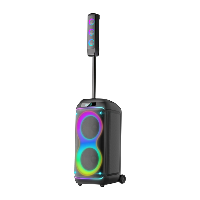 Dual 8-Inch Portable PA System with Stage Monitor Functionality for Live Performances and Events