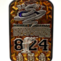 Moneda Conmemorativa de Servicio de la Batalla de Wolf 2026 en Latón