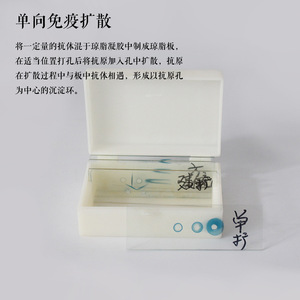 การอิเล็กโทรโฟรีซิสแบบเฟสเดียวในระบบการศึกษาขั้นสูง การอิเล็กโทรโฟรีซิสแบบสองเฟสในระบบการศึกษาขั้นสูง การอิเล็กโทรโฟรีซิสแบบจรวดในระบบการศึกษาขั้นสูง การอิเล็กโทรโฟรีซิสแบบการไหลเวียนในระบบการศึกษาขั้นสูง - Product Image 5