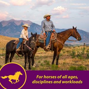 Suplemento Profesional Vita Plus Multivitamínico y <span class=keywords><strong>Mineral</strong></span> Equilibrado para Caballos, Proporciona una Nutrición Equilibrada para Apoyar la Salud General - Product Image 2