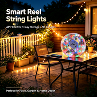 Guirlande lumineuse LED intelligente USB 5V à prix d'usine avec télécommande et contrôle par application pour Noël