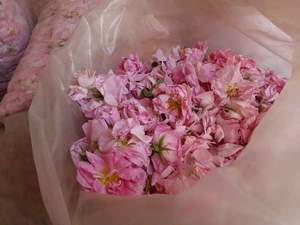 Bulk Certified Organic Wild Liquid Bulgarisches Rosenwasser Rosa Damas cena Custom Hautpflege produkte - Product Image 4