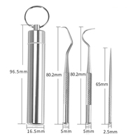 Cure-dents en acier inoxydable portable kit de soins bucco-dentaires outils dentaires en acier inoxydable