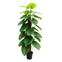Pabrik grosir Bonsai tanaman buatan Potos rambat garland pada tiang tanaman Scindapsus buatan dengan ukuran yang berbeda