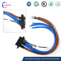 Conjunto de Cable de Alimentación de Alto Voltaje Personalizado para Vehículos Eléctricos, Arnés de Cables de 1000V con Terminal de Anillo y Conector de Señal para Módulo de Carga