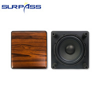 Subwoofer passif PSH10 de 10 pouces, haut-parleur audio HiFi pour home cinéma, 100W 6Ohm, subwoofer en bois pour système audio domestique