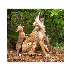 Antica imitazione bronzo scultura madre lupo e bambino lupo ululante Cast in ottone metallo - Product Image 1