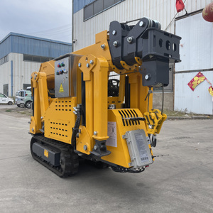 P-017 चीन मिनी आर्म पोर्टेबल इलेक्ट्रिक स्पाइडर क्रेन के साथ रिमोट 3 टन इंजन की कीमत सटीक - Product Image 6