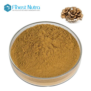 Extrait de champignon Maitake d'approvisionnement d'usine Grifola Frondosa <span class=keywords><strong>Mycelia</strong></span> Polysaccharide 10%-50% Poudre d'extrait de champignon Maitake - Product Image 2