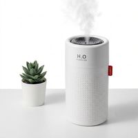 Humidificateur d'air portable avec batterie 2000 mAh et diffuseur