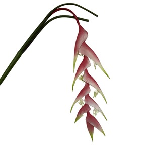 Fleur artificielle d'oiseau de paradis Jinxi 30cm-100cm en caoutchouc souple, décoration de mariage, accessoires pour la maison - Product Image 5
