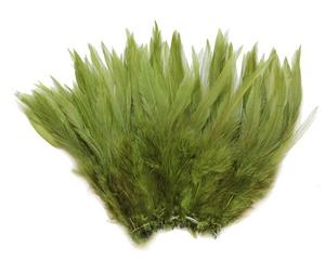 Pluma <span class=keywords><strong>de</strong></span> gallo <span class=keywords><strong>de</strong></span> pollo Hackle verde manzana teñida para manualidades DIY Material <span class=keywords><strong>de</strong></span> atado <span class=keywords><strong>de</strong></span> moscas pendiente <span class=keywords><strong>de</strong></span> pelo <span class=keywords><strong>de</strong></span> Carnaval costura disfraces <span class=keywords><strong>de</strong></span> Carnaval - Product Image 2