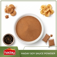Poudre de Sauce Soja A02 Haday en Gros, Poudre d'Assaisonnement de Soja Fermentée Naturellement Séchée par Pulvérisation, Approvisionnement en Vrac pour Usine Alimentaire Instantanée