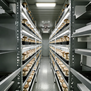 Sistema de Cultivo de Cogumelos em Contêiner Inteligente de Grau Comercial de 20/40 Pés - Product Image 4