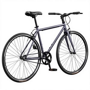 <span class=keywords><strong>Bicicleta</strong></span> de <span class=keywords><strong>Carretera</strong></span> de Una Velocidad con Horquilla de Resorte Retro de Acero de Alto <span class=keywords><strong>Carbono</strong></span> y Frenos de Disco para Adultos, para Desplazamientos Diarios - Product Image 3