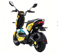 Bicicleta Eléctrica Urbana de Carga para Adultos, Alta Velocidad, 1000W, 3 Velocidades, Cuadro de Acero al Carbono, Pantalla Digital, 72V 32/55AH, 55km/h